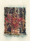 p19.jpg